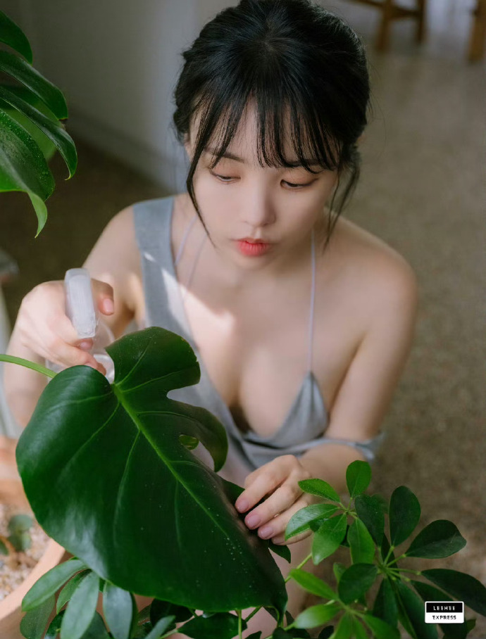 机器人总动员